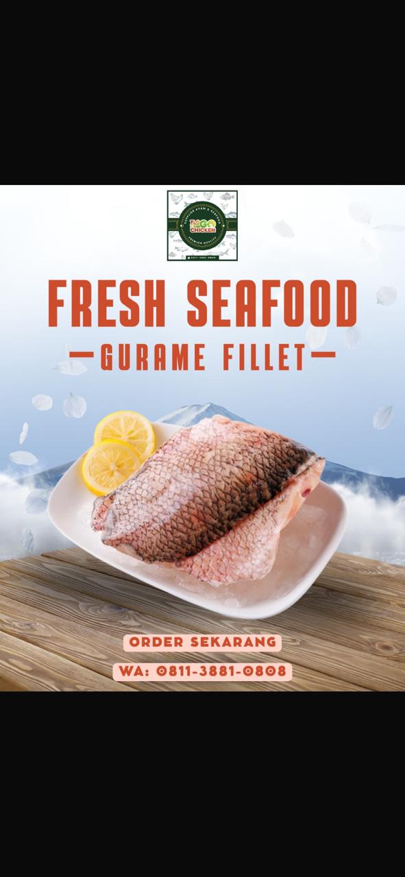 FILLET GURAME