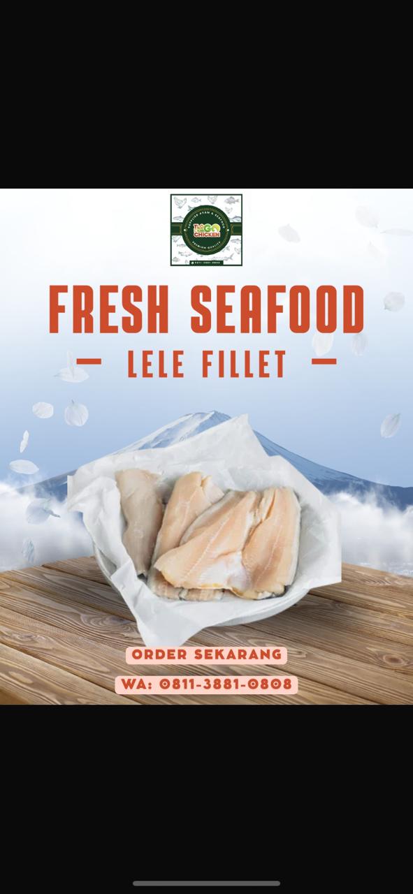 LELE FILLET